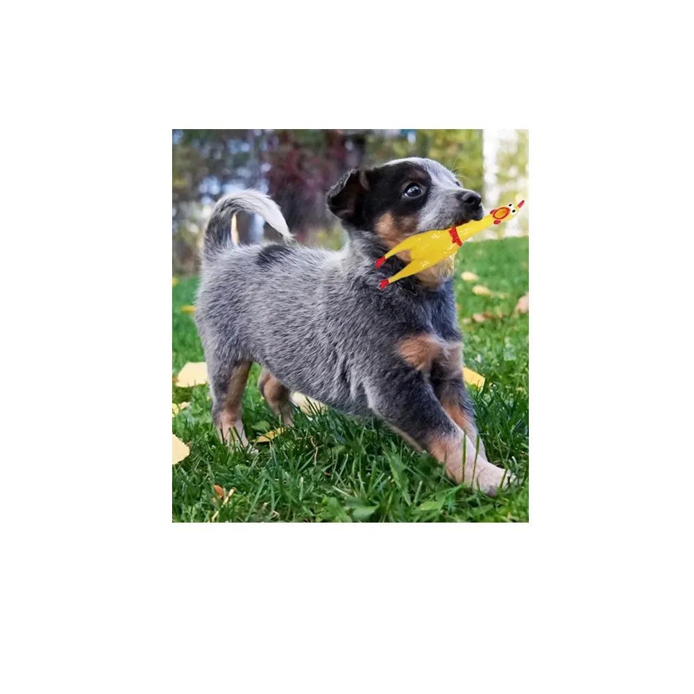 2pc Fun Pet Dog Shrilling Rubber Chicken Chew Sound Squeeze Screaming Toy Small