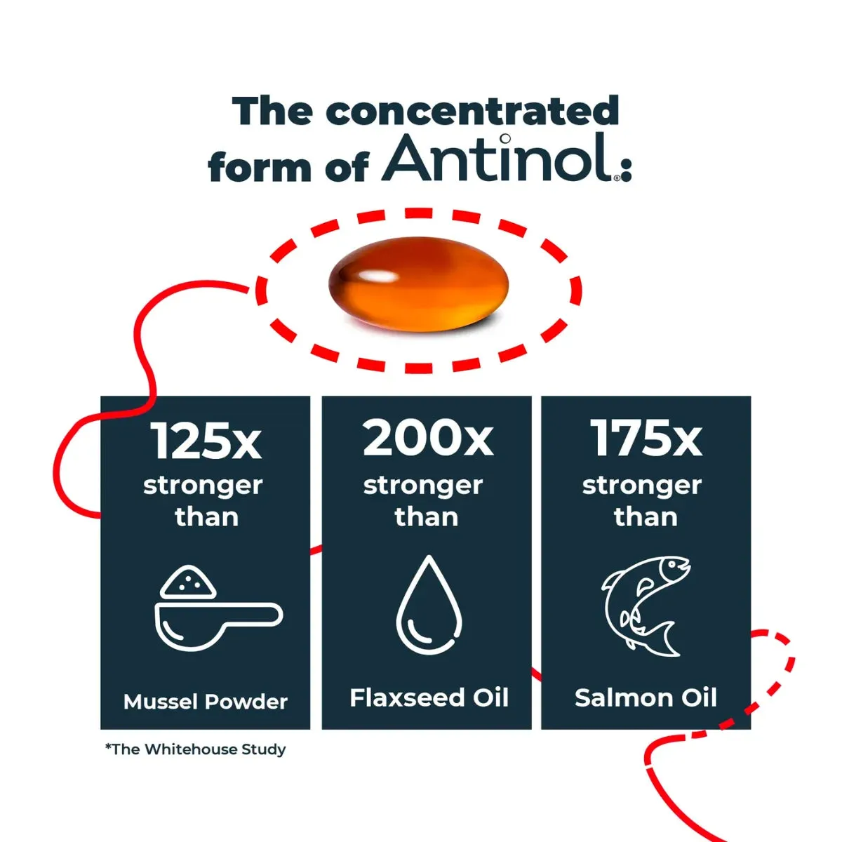 Antinol Soft Gel Capsule (Joint Supplement for Dogs)