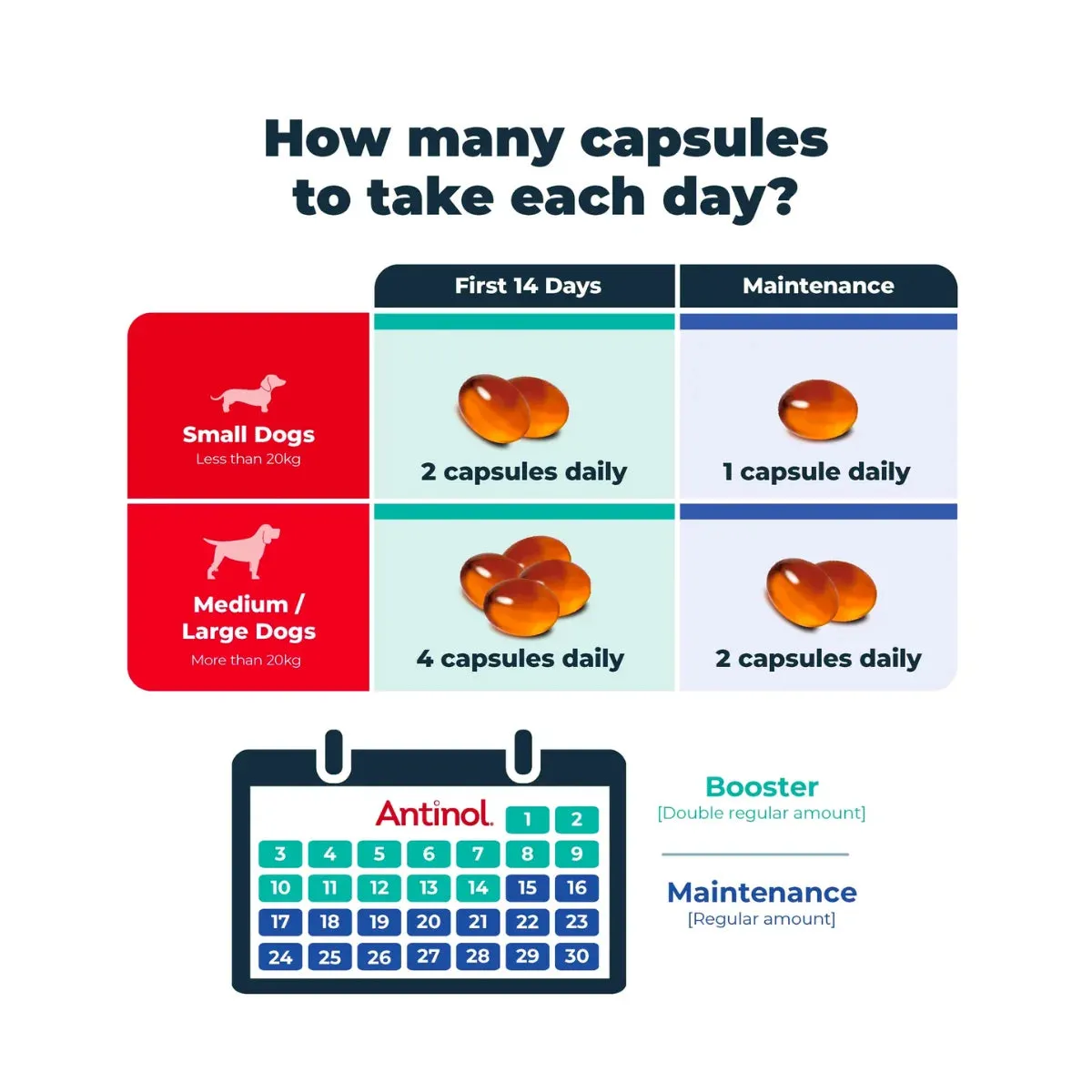 Antinol Soft Gel Capsule (Joint Supplement for Dogs)