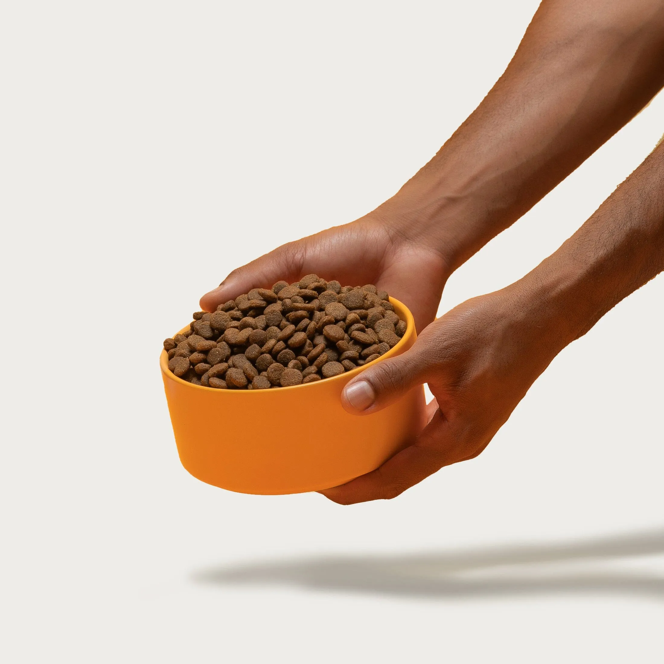 Cage-Free Chicken Dog Food