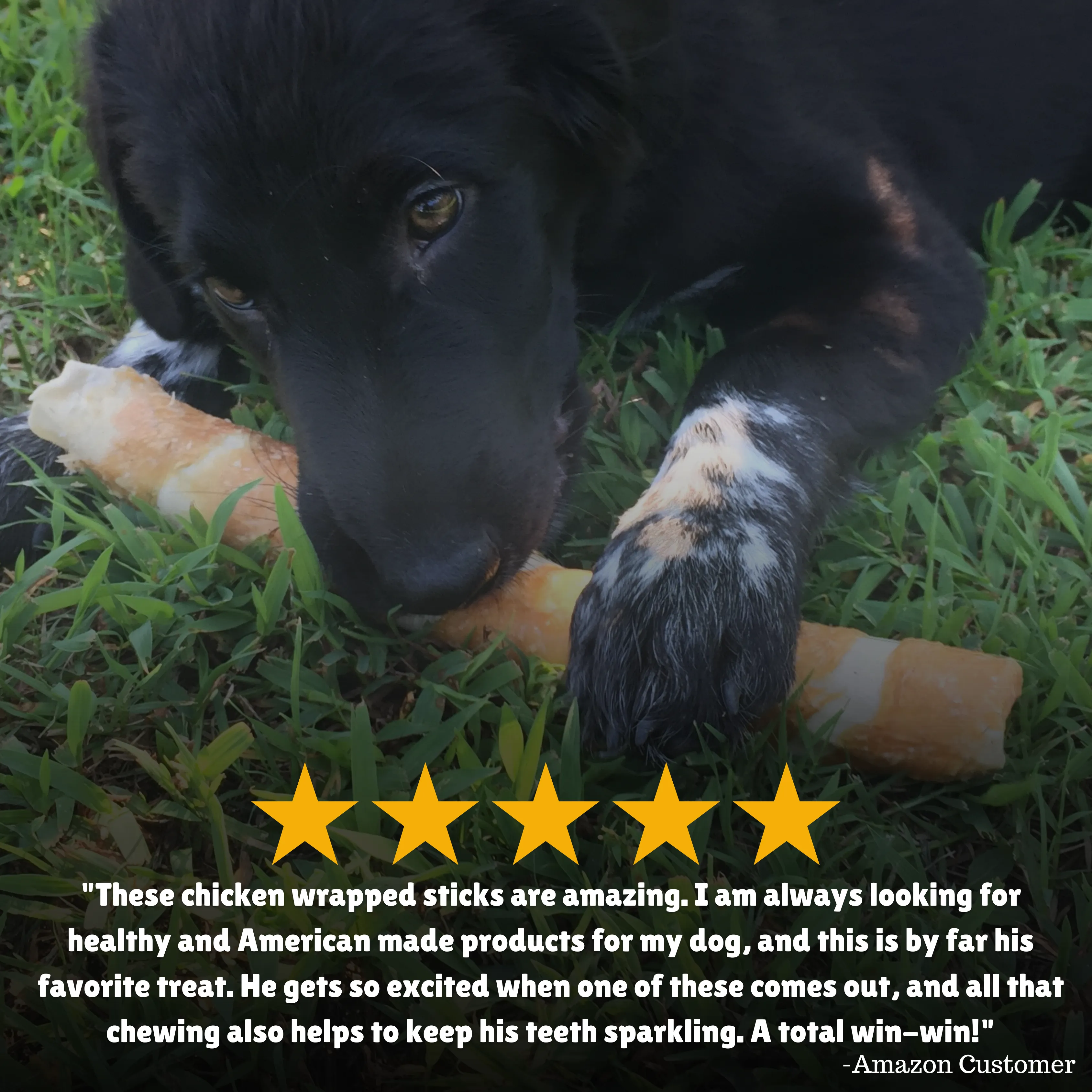 Chicken Wrapped Beefhide Dog Treats: Retrievers for Large Dogs
