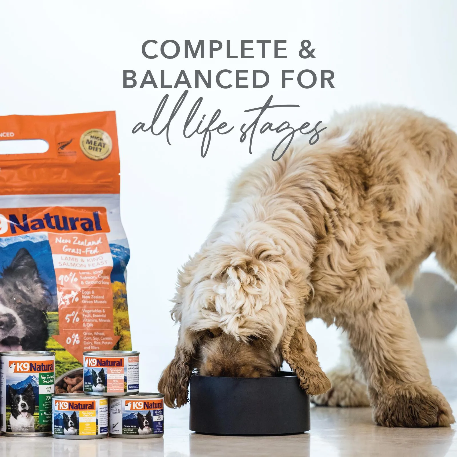 K9 Natural Lamb and King Salmon Feast Wet Dog Food 370g