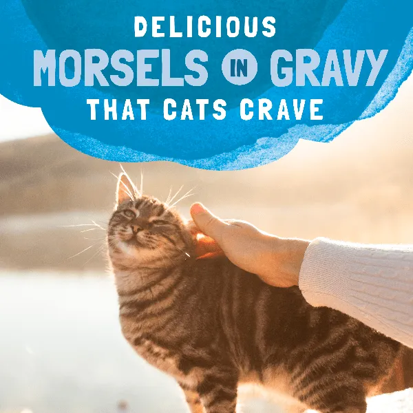 Natural Balance Platefulls Mackerel & Sardine Recipe Morsels in Gravy Cat Food Pouch